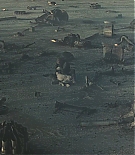 ALC-P178.jpg