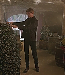 ALC108-205.jpg
