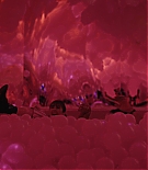 ALC307-203.jpg