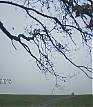 ALC102-001.jpg